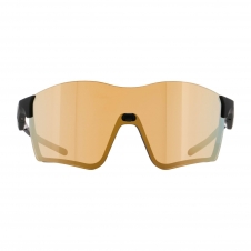 Red Bull Sonnenbrille Fuse Spect, black, brown with gold mirror