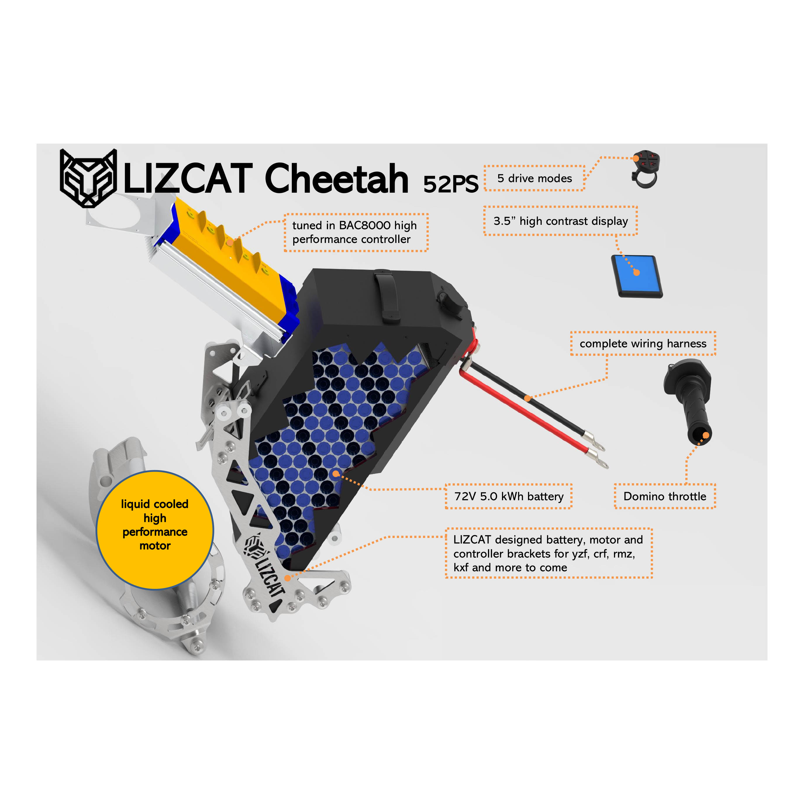 Lizcat - Cheetah, made in Switzerland