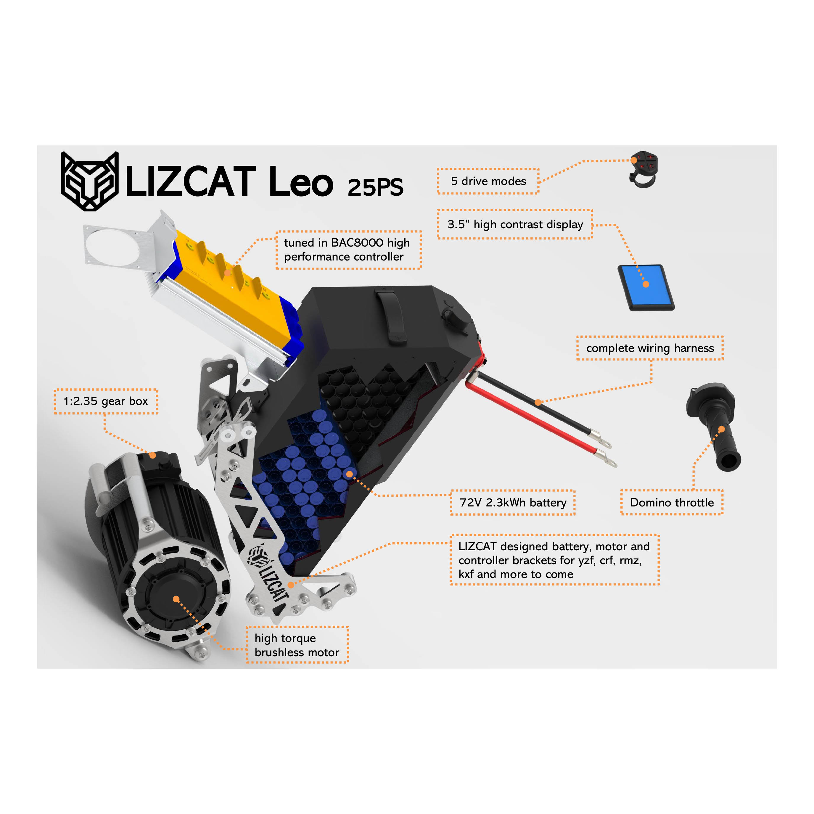 Lizcat - Leo, made in Switzerland