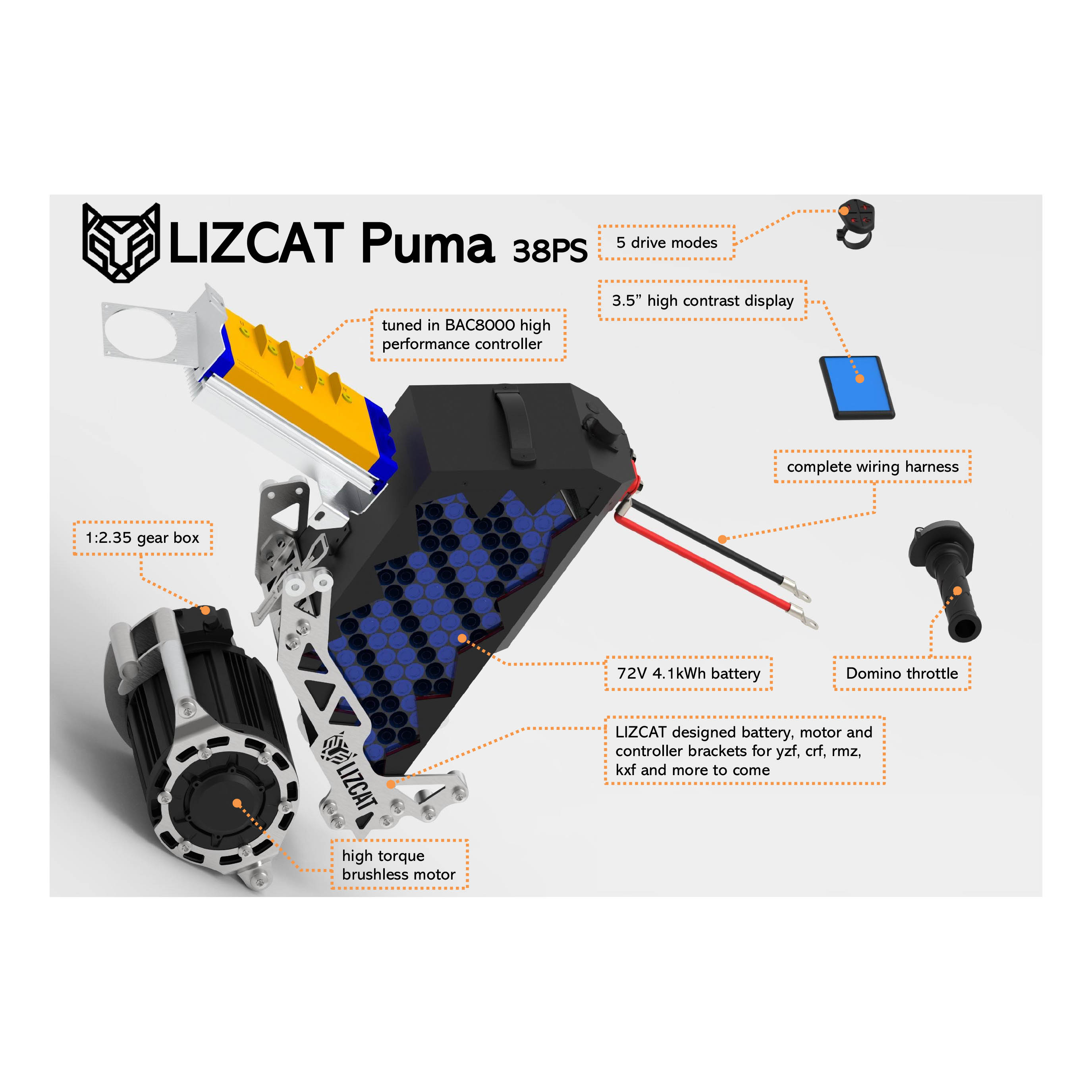 Lizcat - Puma, made in Switzerland